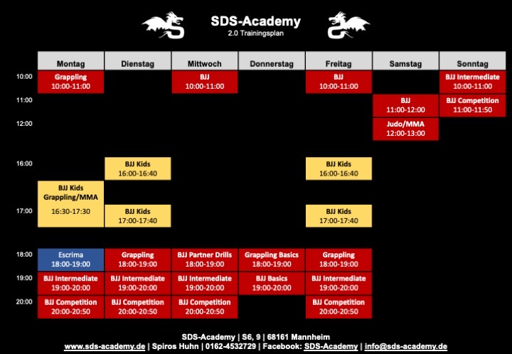 Neuer Unterrichtsplan in der SDS Academy Mannheim